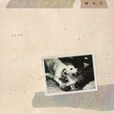 tusk