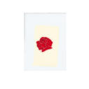 lany